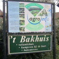 t-bakhuis-wijlre-88rdt