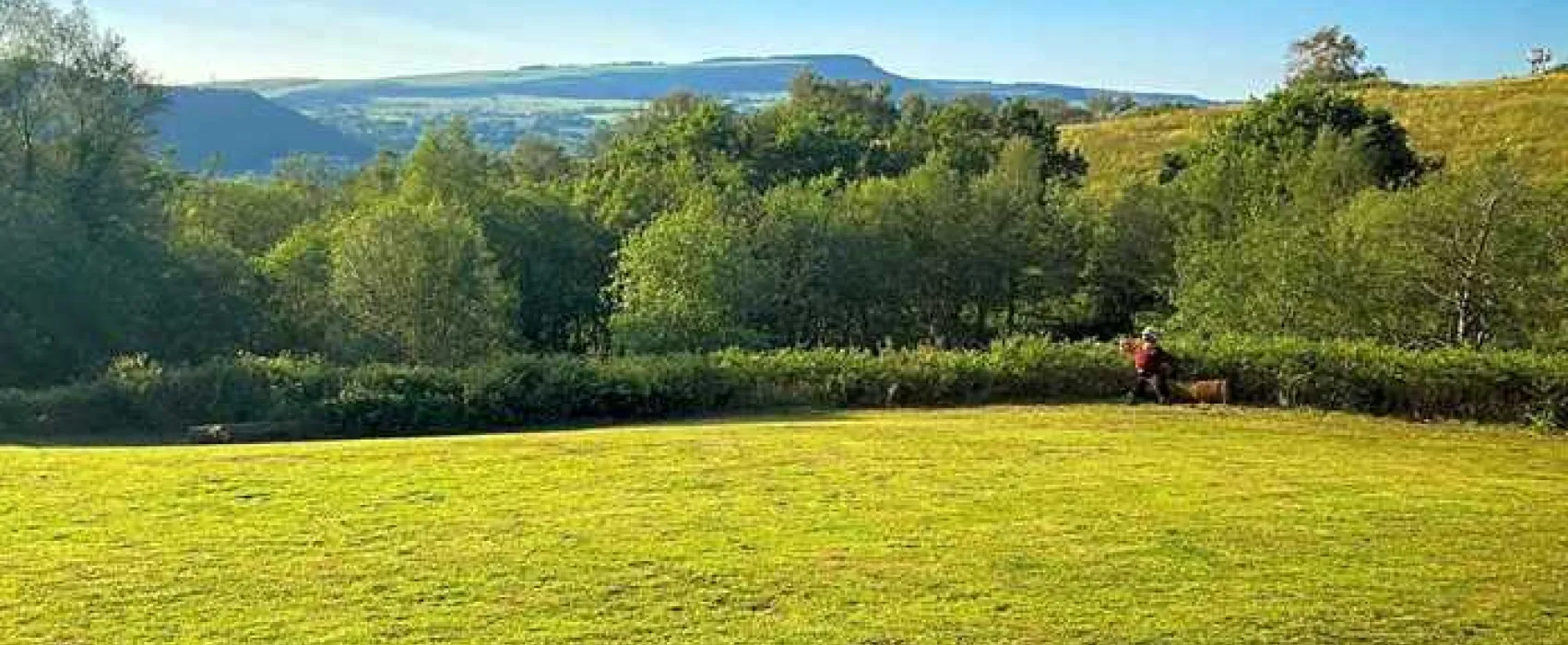 Wenallt Wild Camp