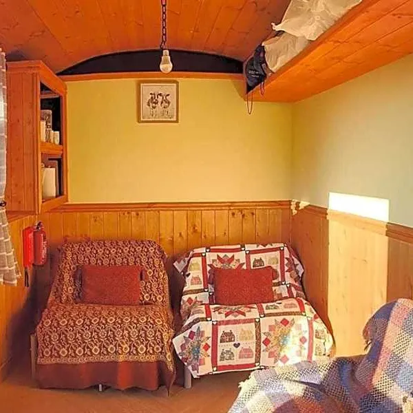 wenallt-wild-camp-neath-peg0w