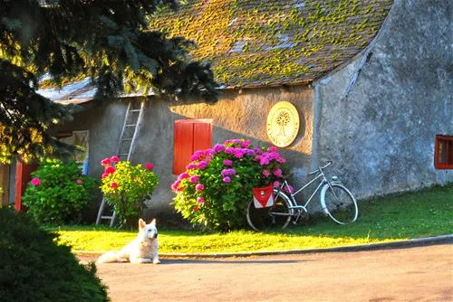 la-foret-lourdes-hauts-pyrenees-drryj