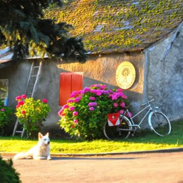la-foret-lourdes-hauts-pyrenees-drryj