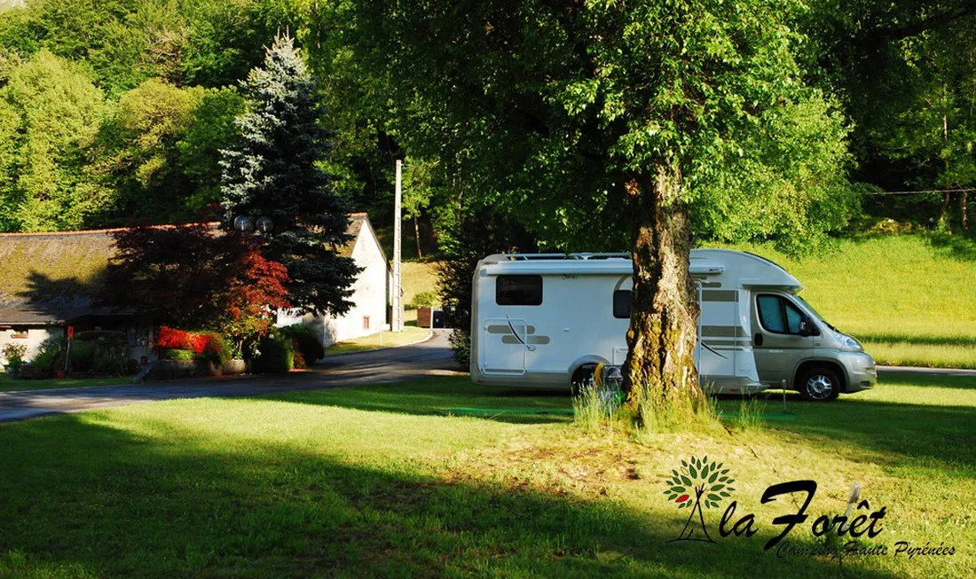 la-foret-lourdes-hauts-pyrenees-dy2mw
