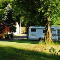 la-foret-lourdes-hauts-pyrenees-dy2mw