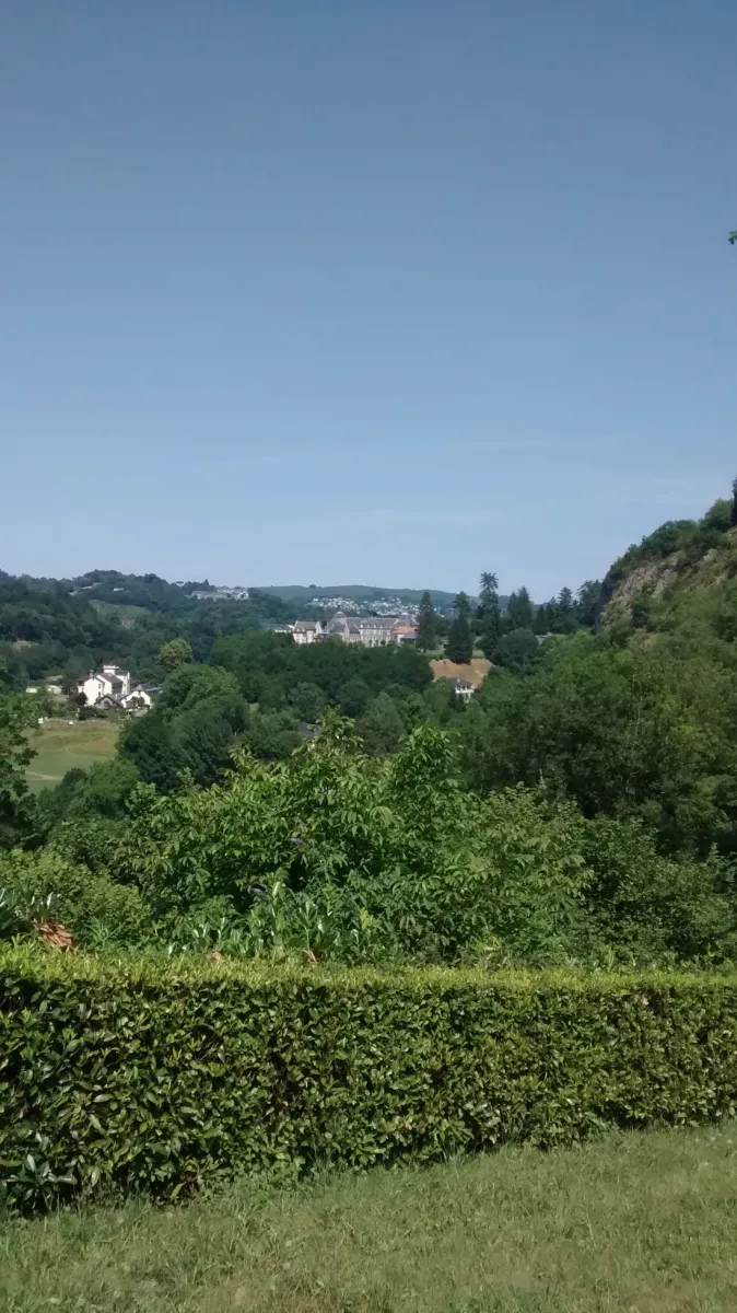 la-foret-lourdes-hauts-pyrenees-h4deo