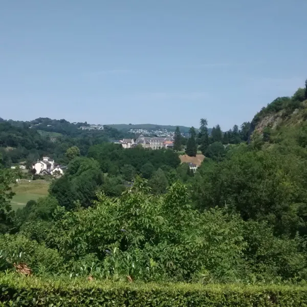 la-foret-lourdes-hauts-pyrenees-h4deo