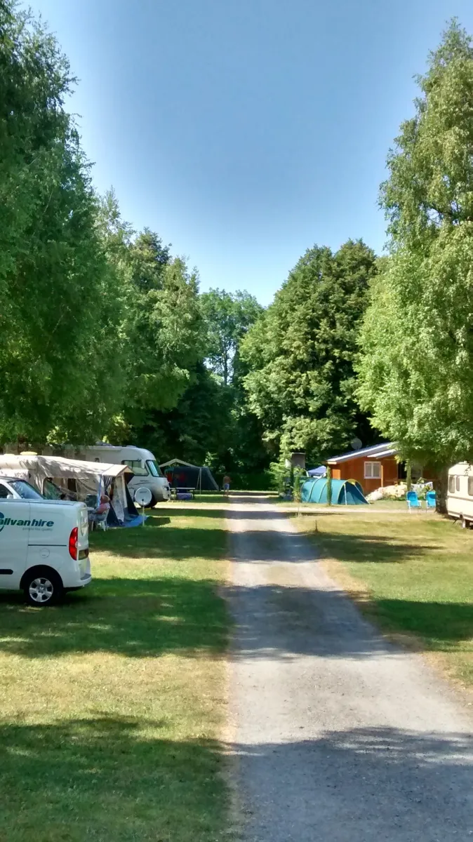 la-foret-lourdes-hauts-pyrenees-t4hvy