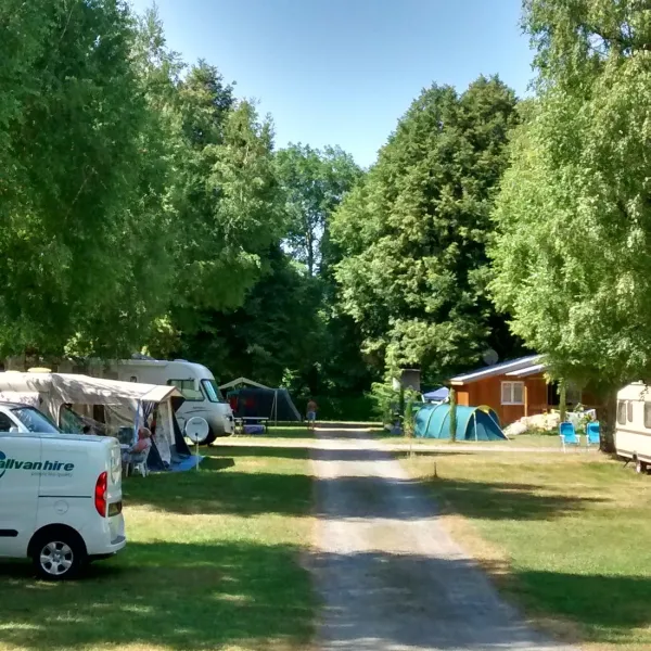 la-foret-lourdes-hauts-pyrenees-t4hvy