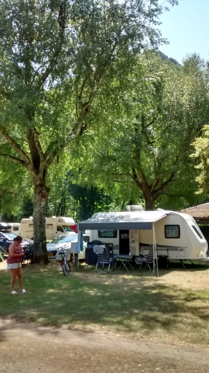 la-foret-lourdes-hauts-pyrenees-troem