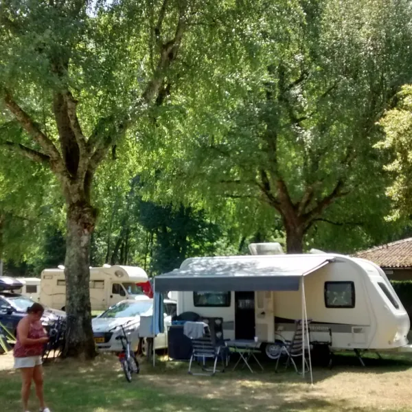 la-foret-lourdes-hauts-pyrenees-troem