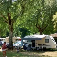 la-foret-lourdes-hauts-pyrenees-troem