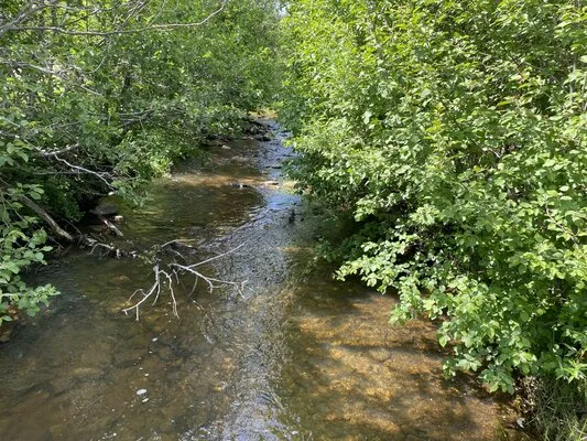 coyote-creek-state-park-guadalupita-2cpfs