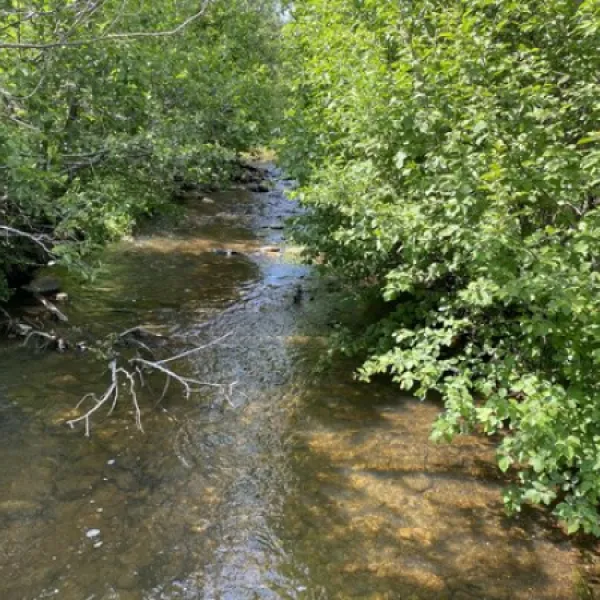 coyote-creek-state-park-guadalupita-2cpfs