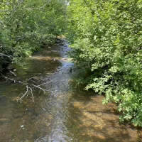 coyote-creek-state-park-guadalupita-2cpfs
