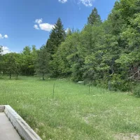 coyote-creek-state-park-guadalupita-a0g0f