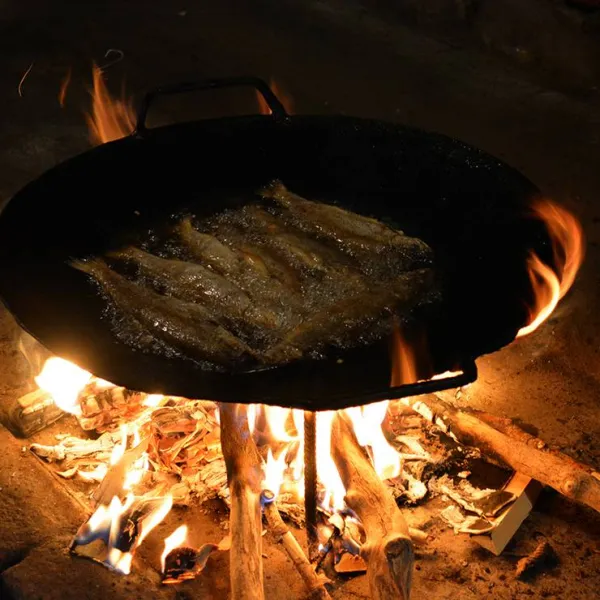 camp-sastavci-pluzine-3ntia