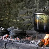 camp-sastavci-pluzine-pamao