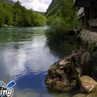 camp-sastavci-pluzine-twc1t