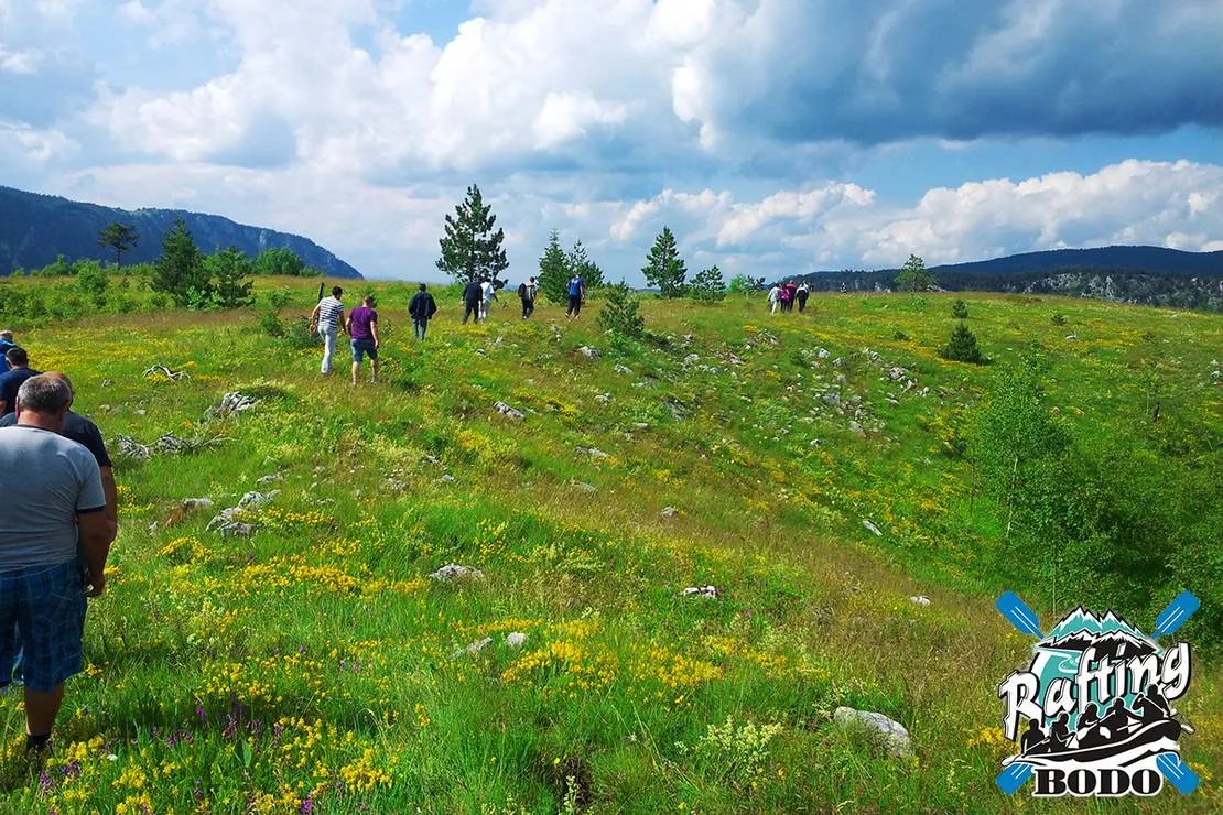 camp-sastavci-pluzine-vwlmc