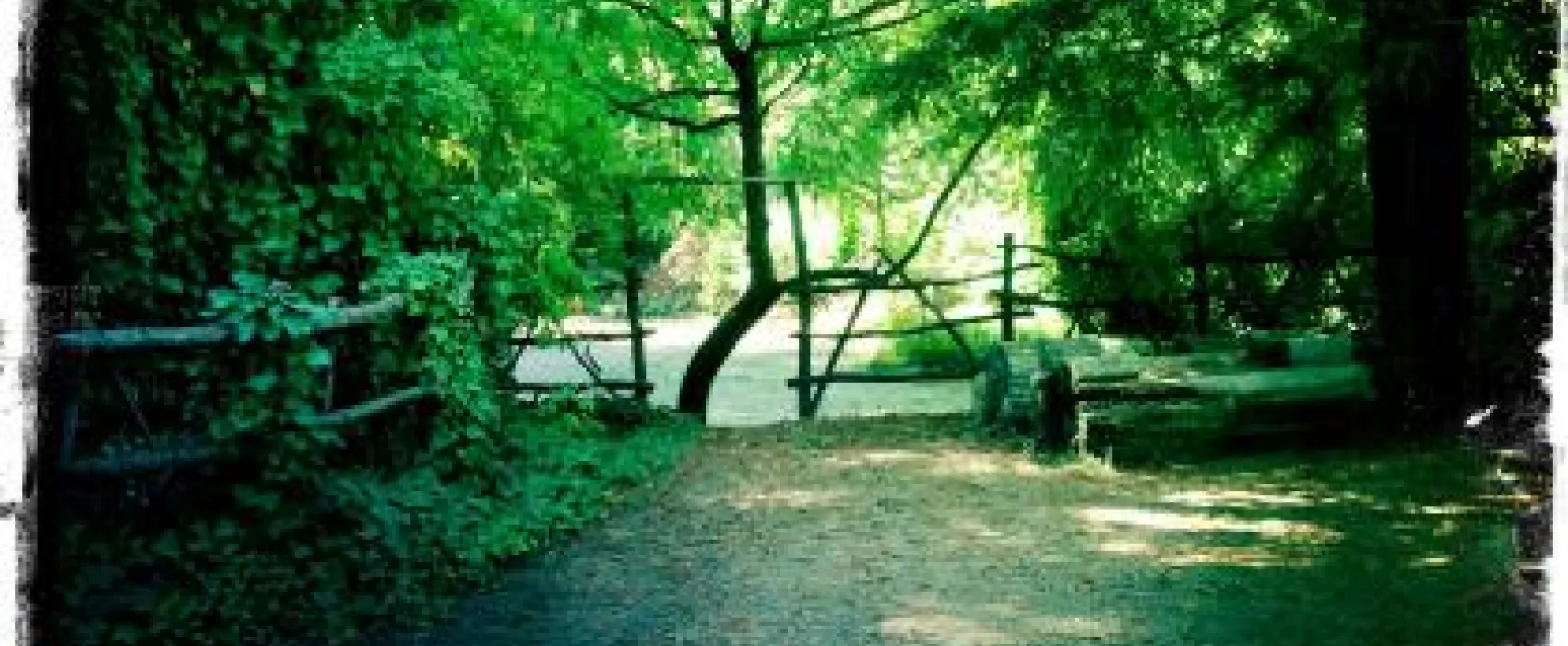Parker's Resort