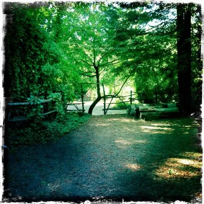 parkers-resort-guerneville-brt69