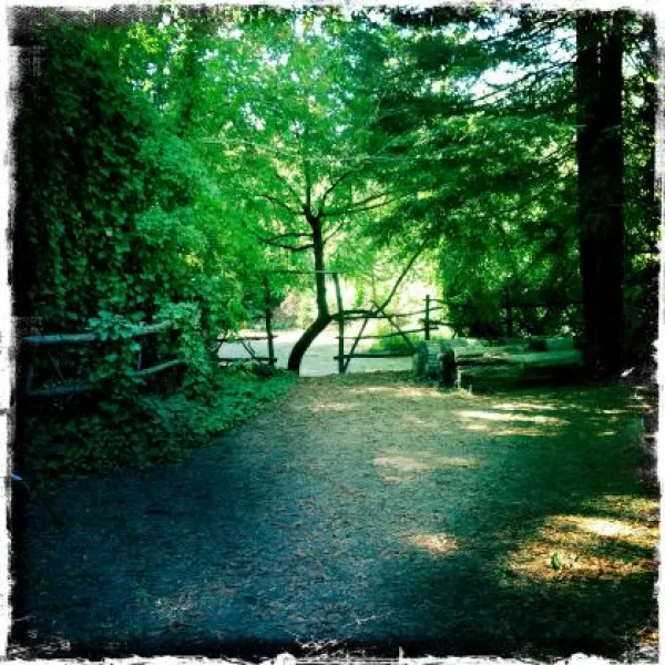 parkers-resort-guerneville-brt69