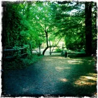 parkers-resort-guerneville-brt69