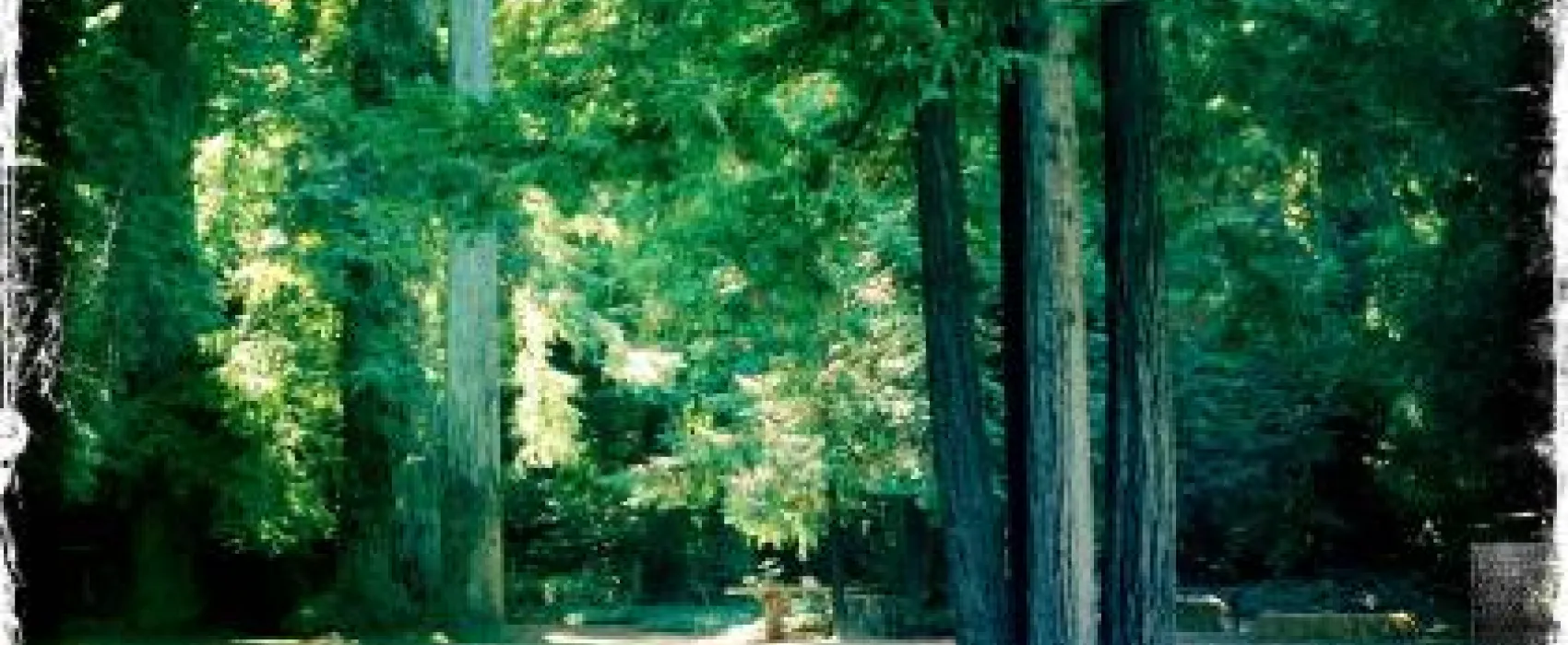 Parker's Resort