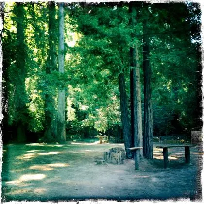 parkers-resort-guerneville-mi6p5