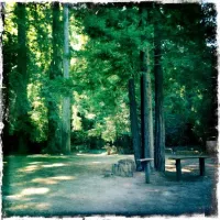 Parker's Resort