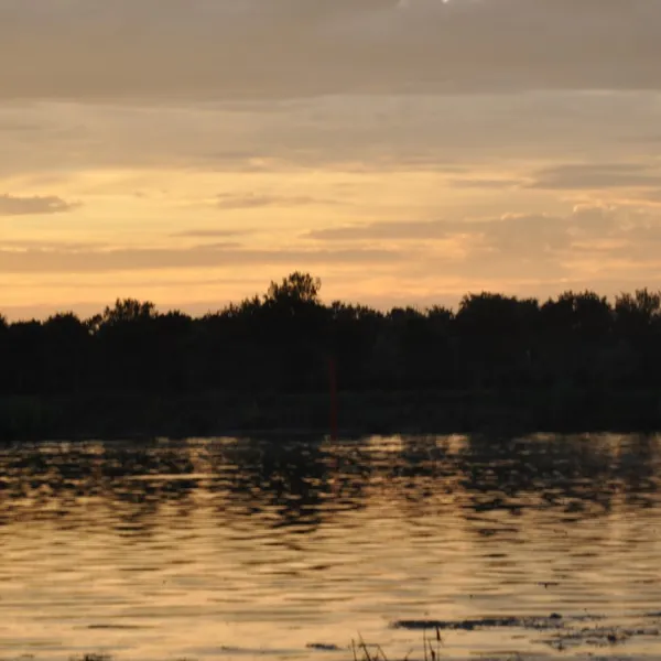 la-plage-verdun-sur-le-doubs-lfldl