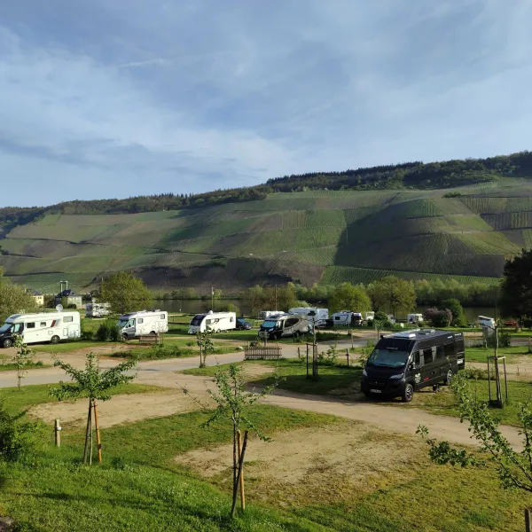 MoselCamping Bernkastel GmbH