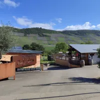 moezelcamping-bernkastel-mosel-bernkastel-kues-moezel-dzwmg