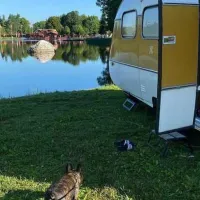 berkinge-bad-fiskecamp-lovstabruk-ld6lz