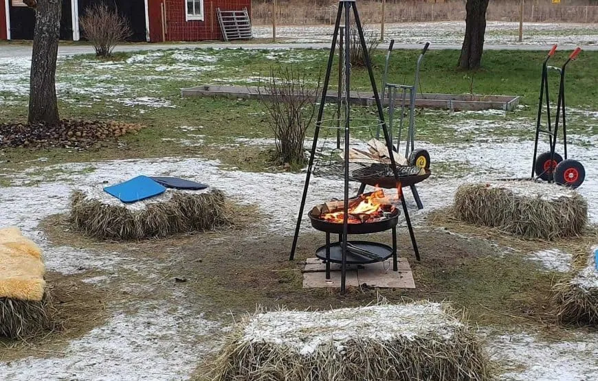 berkinge-bad-fiskecamp-lovstabruk-wbkdi