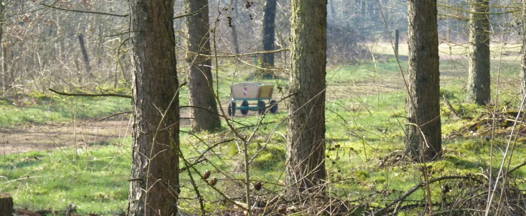 Hase Ufer
