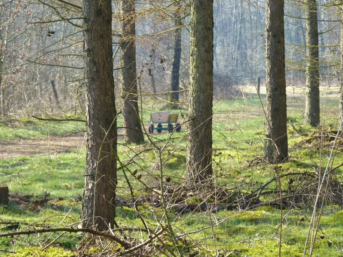 hase-ufer-haselunne-6if8a