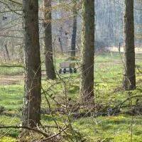 hase-ufer-haselunne-6if8a