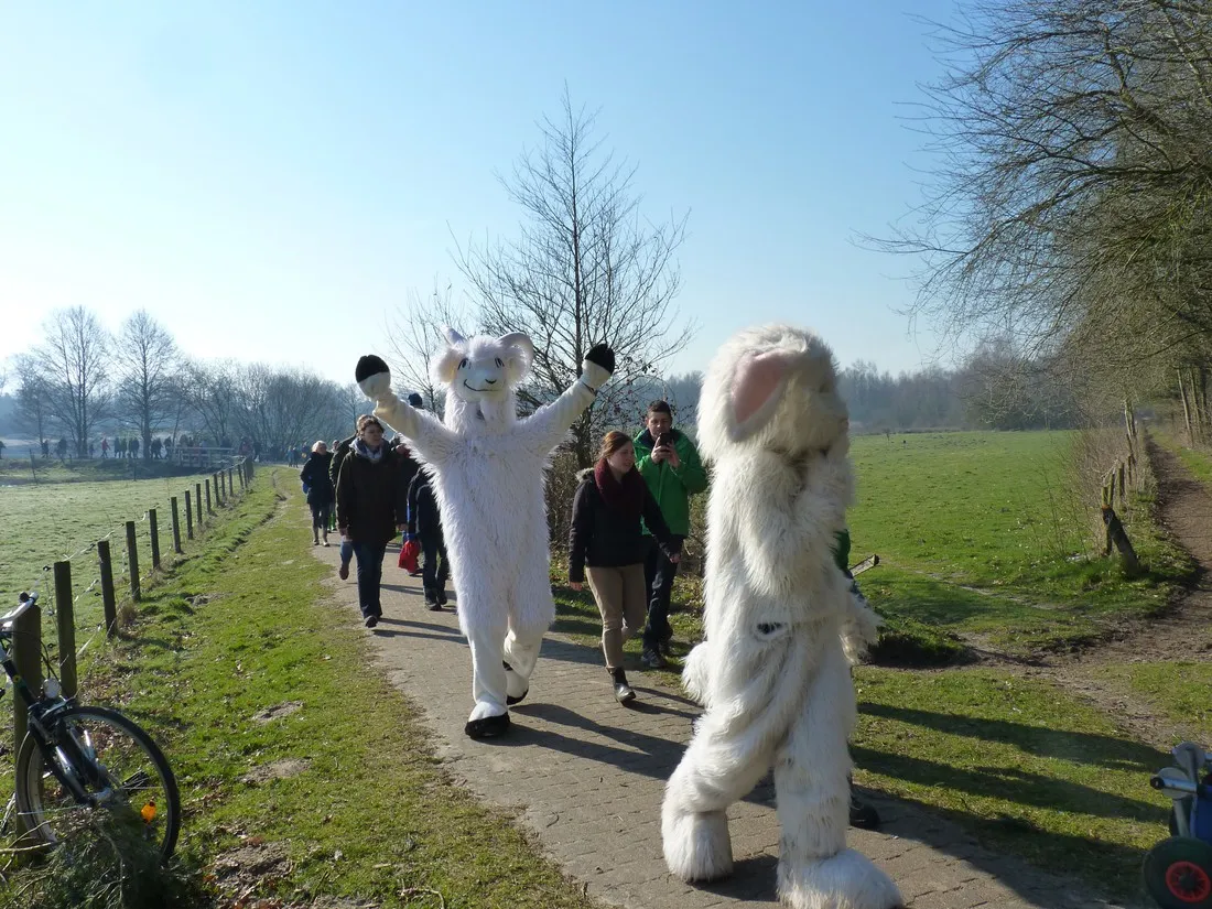 hase-ufer-haselunne-huqqt