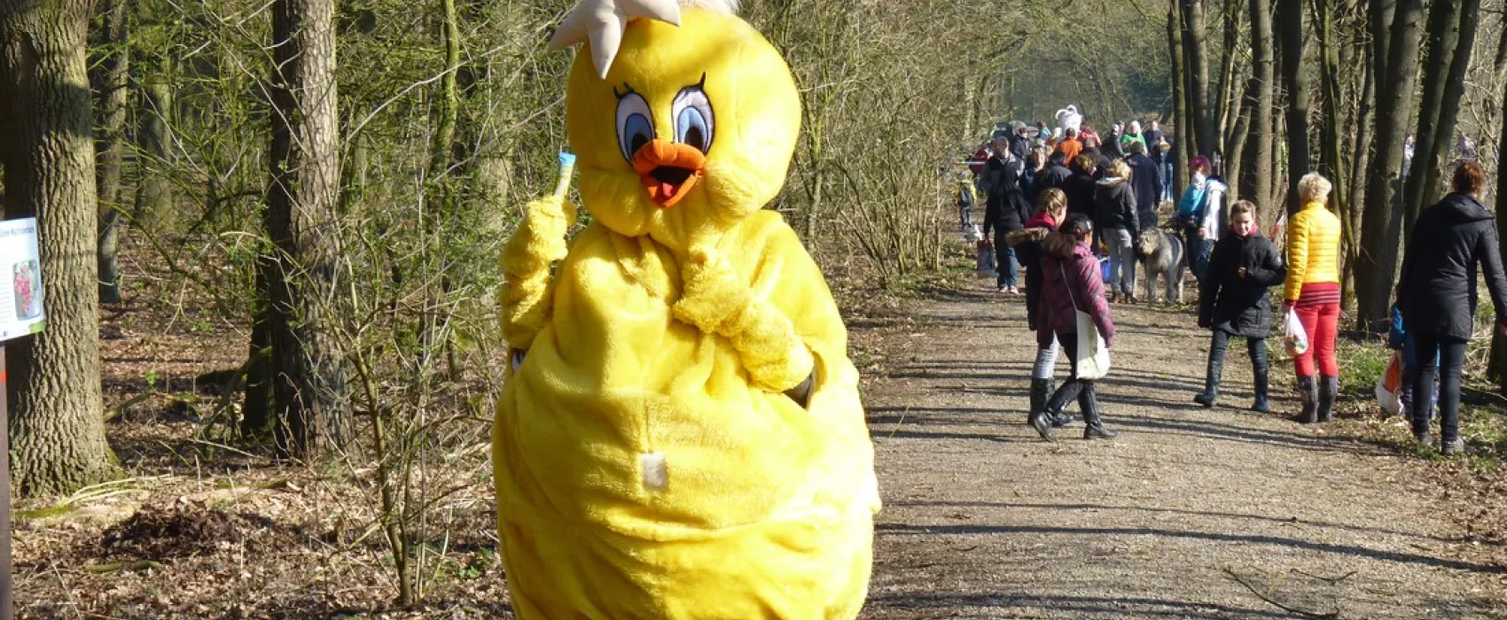 Hase Ufer
