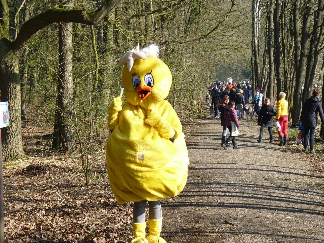 hase-ufer-haselunne-lwnz5