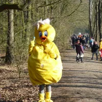 hase-ufer-haselunne-lwnz5