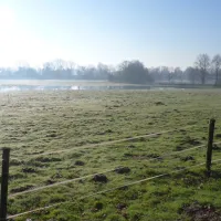 hase-ufer-haselunne-n8d8x