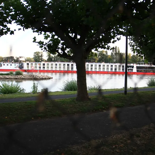 am-rhein-rudesheim-am-rhein-90bt1