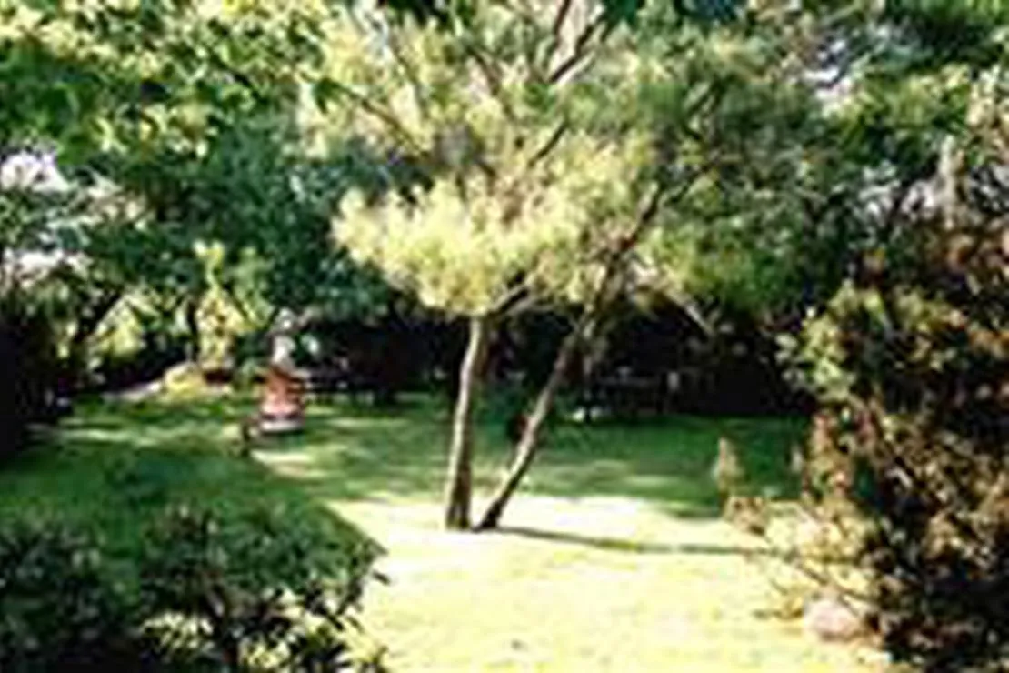 camping-muhlenhof-sylt-ot-morsum-r7l7c