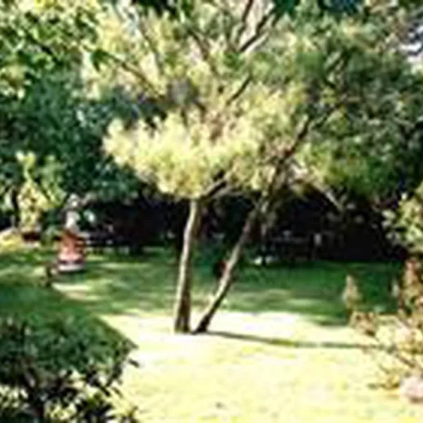 camping-muhlenhof-sylt-ot-morsum-r7l7c