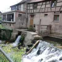 municipal-de-wasselonne-wasselonne-rdvzo