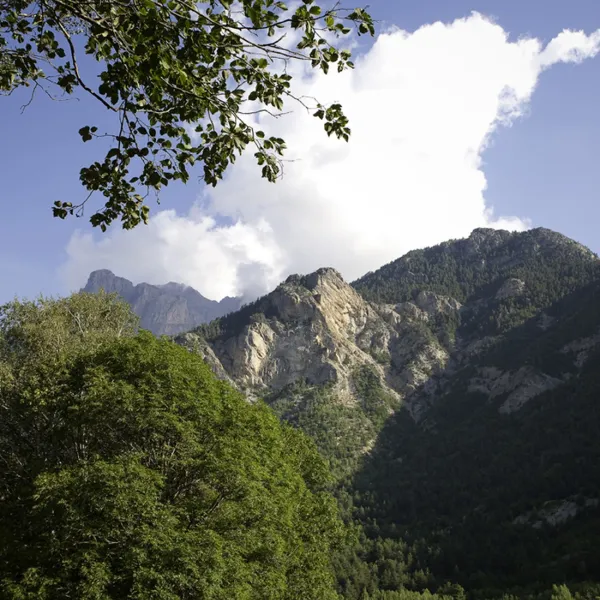 campeole-le-courounba-les-vigneaux-ejsxi