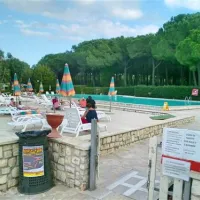 free-beach-bibbona-marina-di-bibbona-9axr0
