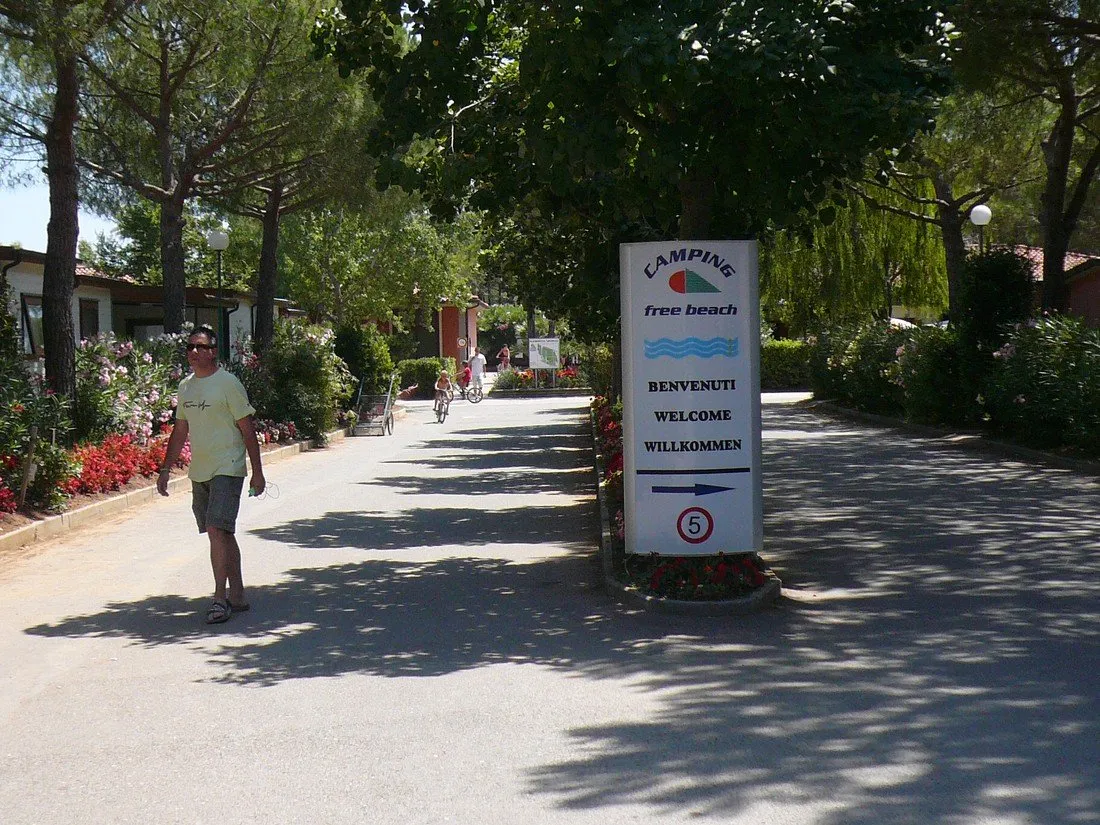 free-beach-bibbona-marina-di-bibbona-iymnb