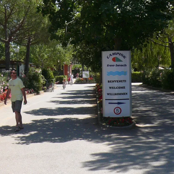 free-beach-bibbona-marina-di-bibbona-iymnb